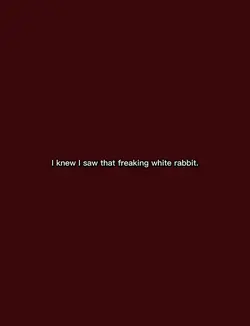 White rabbit