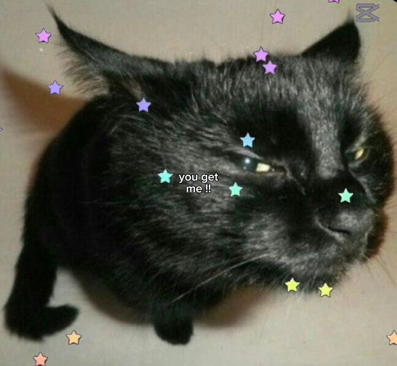 chats>. <