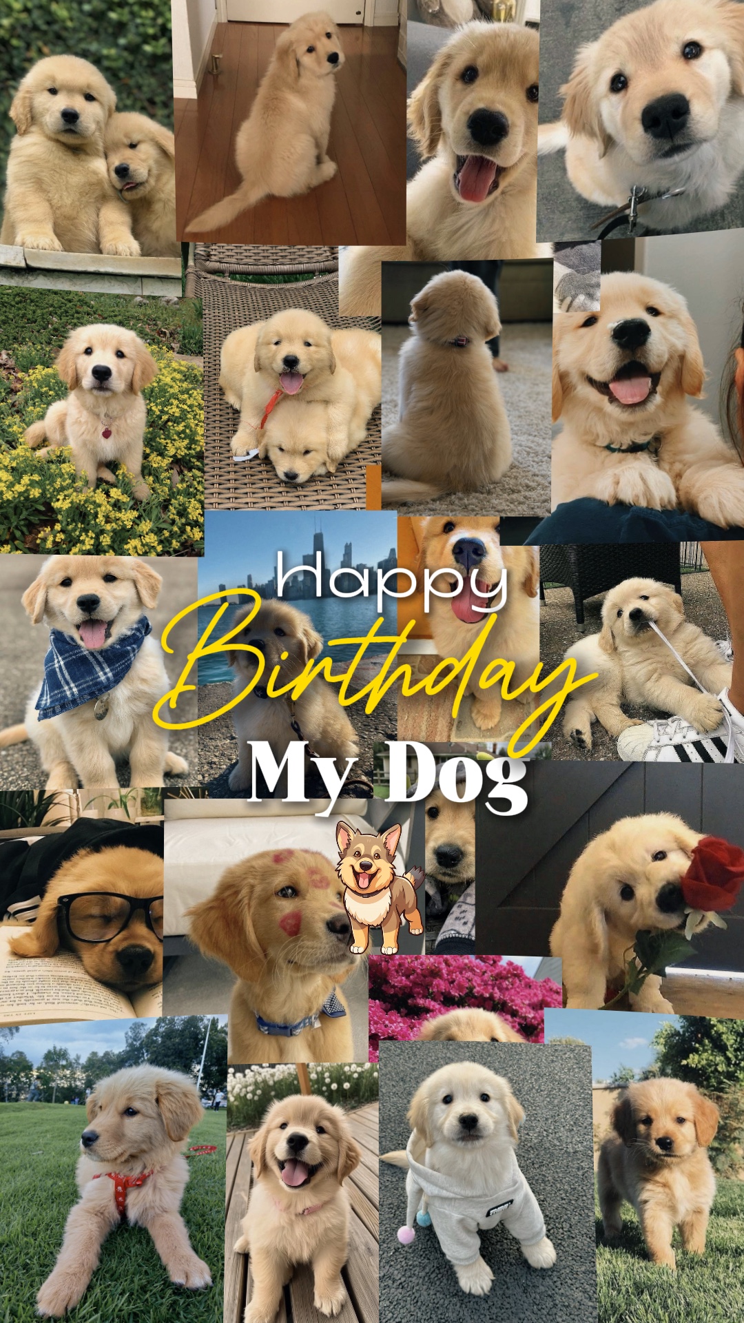 Aniversário meu cachorro