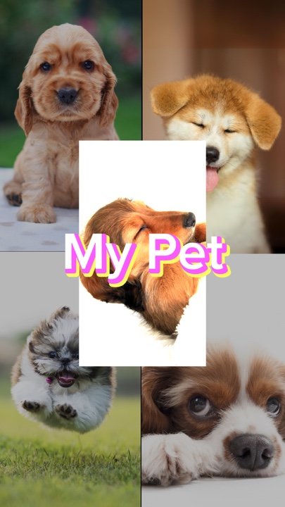 Día del Cachorro Amante del Perro