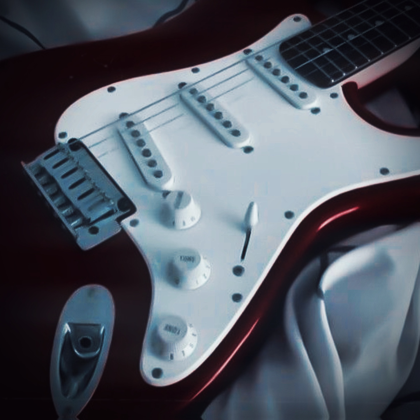 Cover Picture