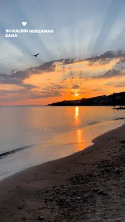 Bu Kalbn Herzmn Sana