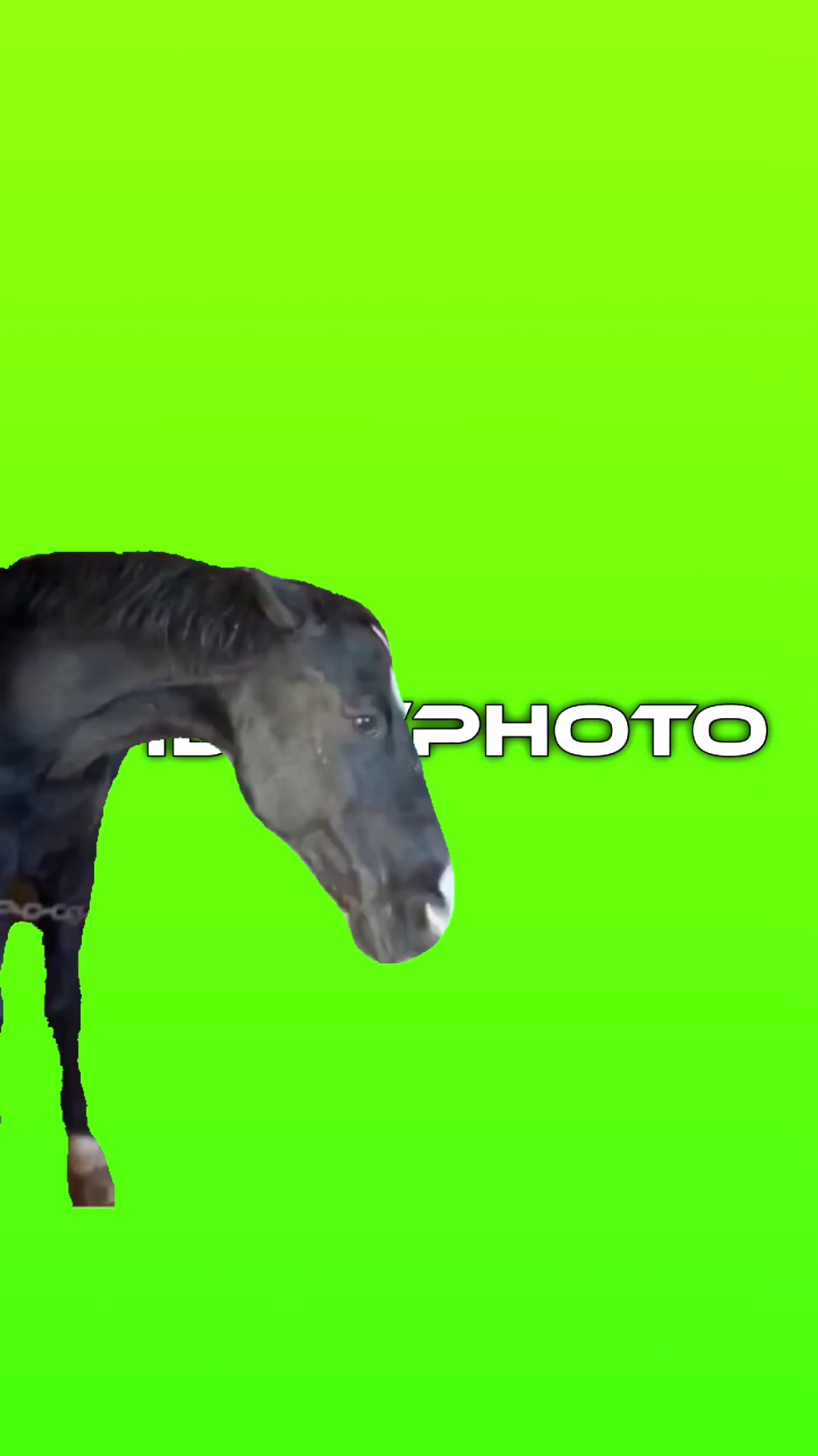 Meme 