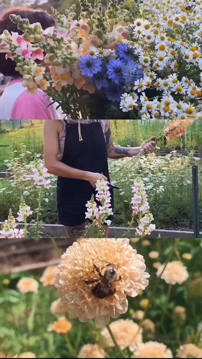 Gardening