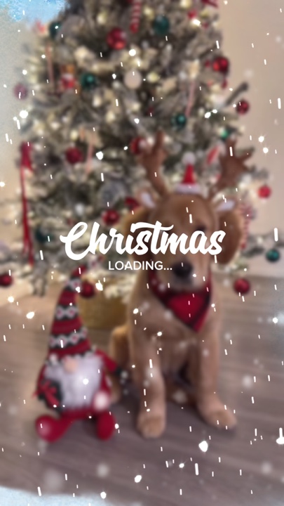 Animal de estimação de natal