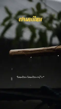 Raining ฝนตก