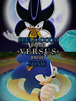 SeelKadoom vs Sonic 