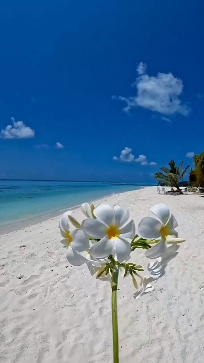 ambiance estivale