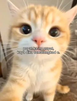 puyat ka ng puyat 