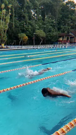 Swimming Buterfly