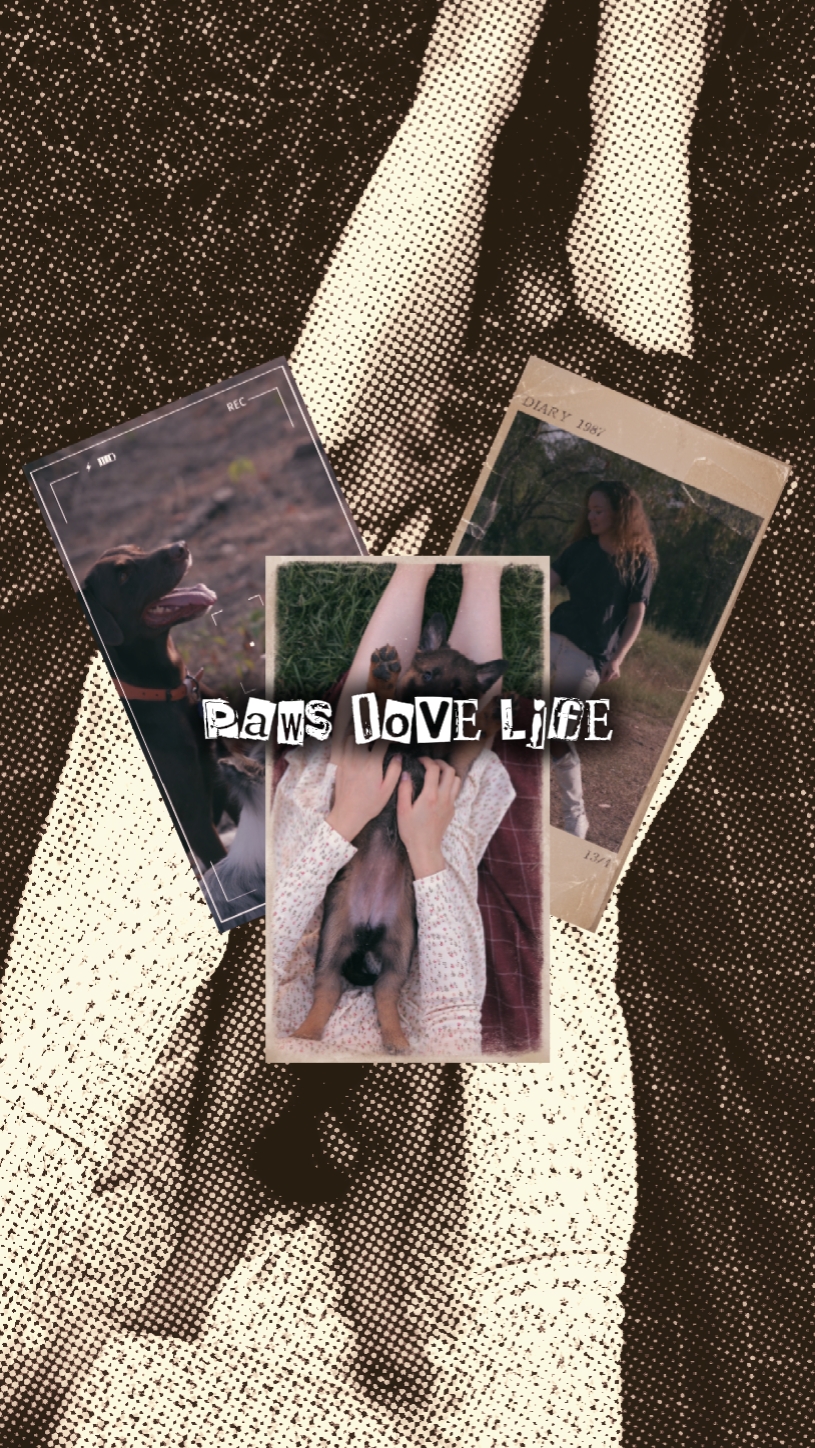 PAWS.LOVE.LIFE 