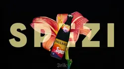 Paulaner Spezi <3