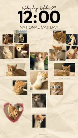 Cat wallpaper