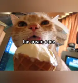 ice cream cone