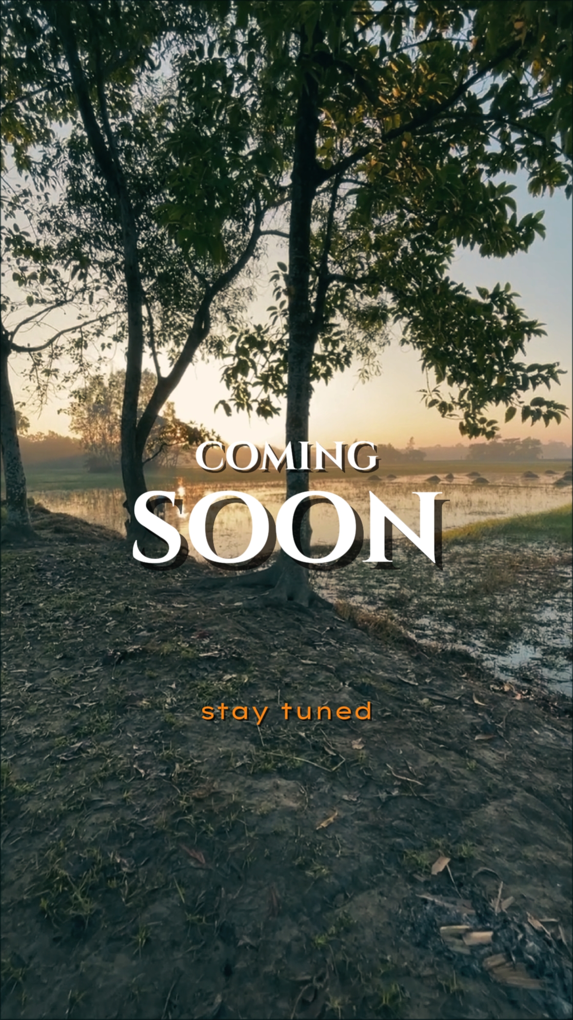 coming soon