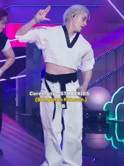 FANCAM