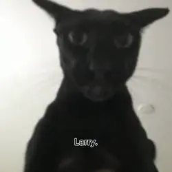 LARRY