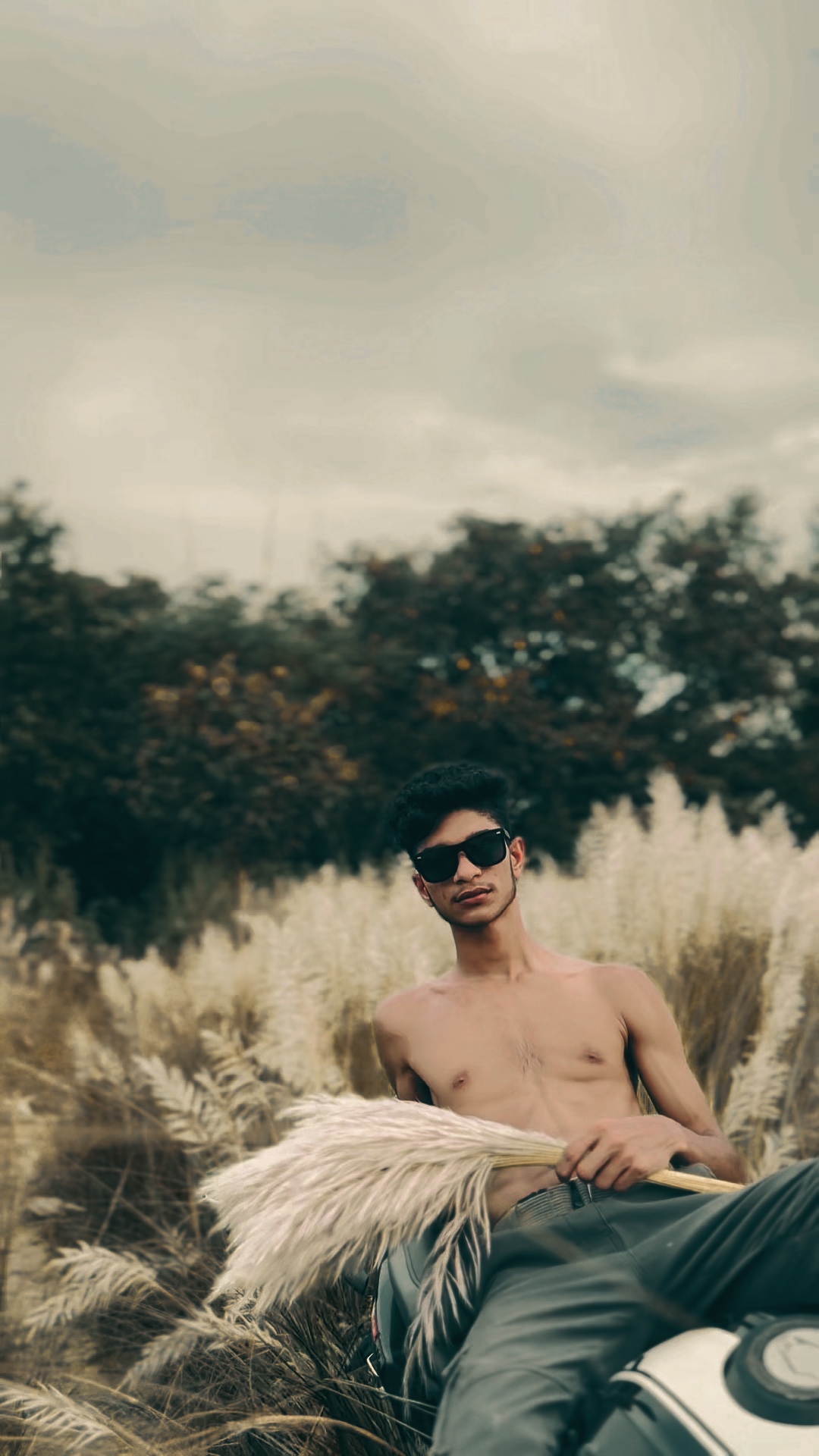 Cover Picture
