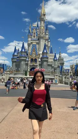 disneyworld template