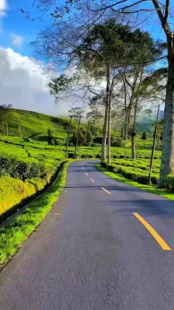 3 video HD aesthetic