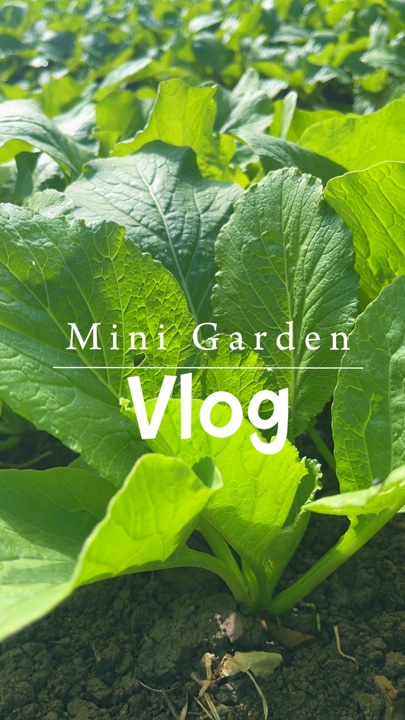 Vlog de Gargen 🌱