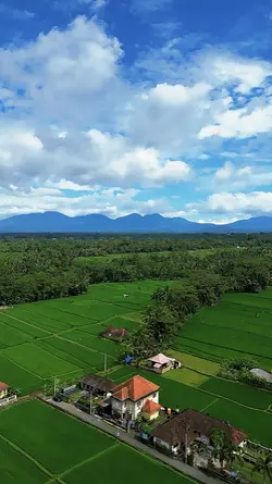 Hut ri 81