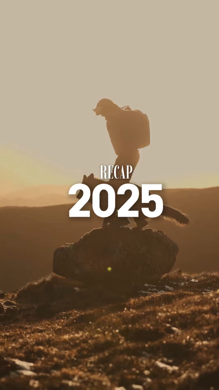 2025 dog recap