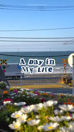 intro Aday in mylife