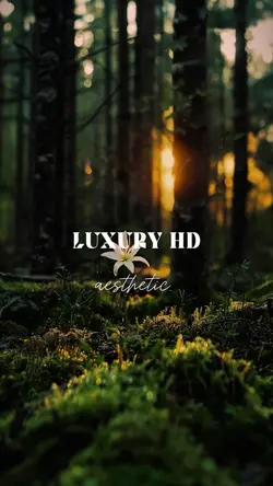 HD TRANSISI VERTIKAL