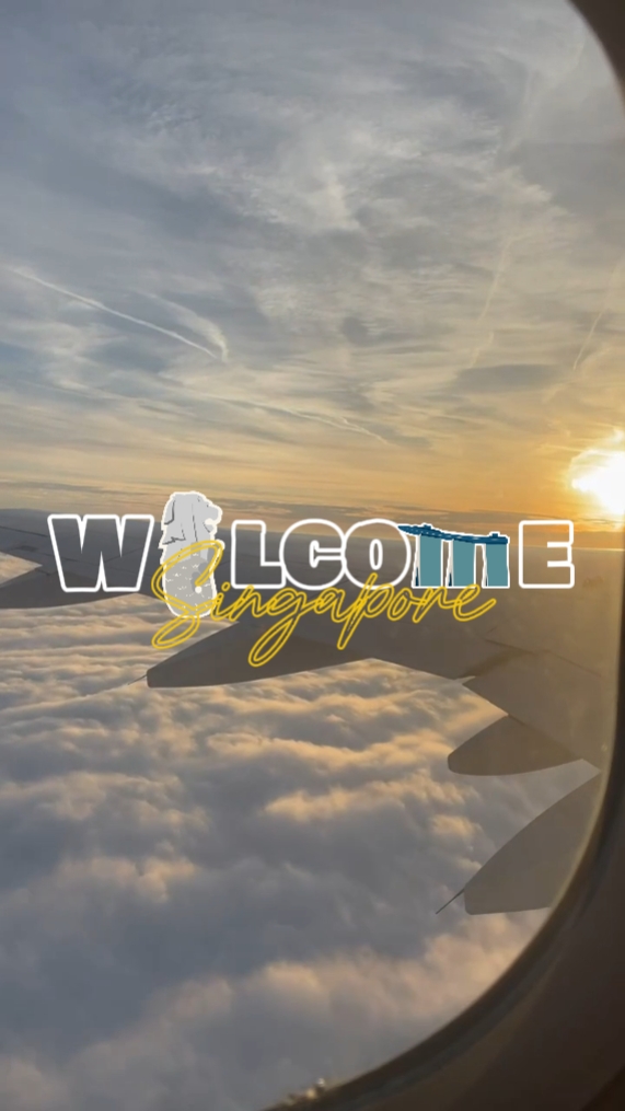 Bienvenido Singapur 