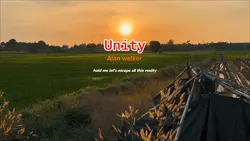 Unity Alan walker