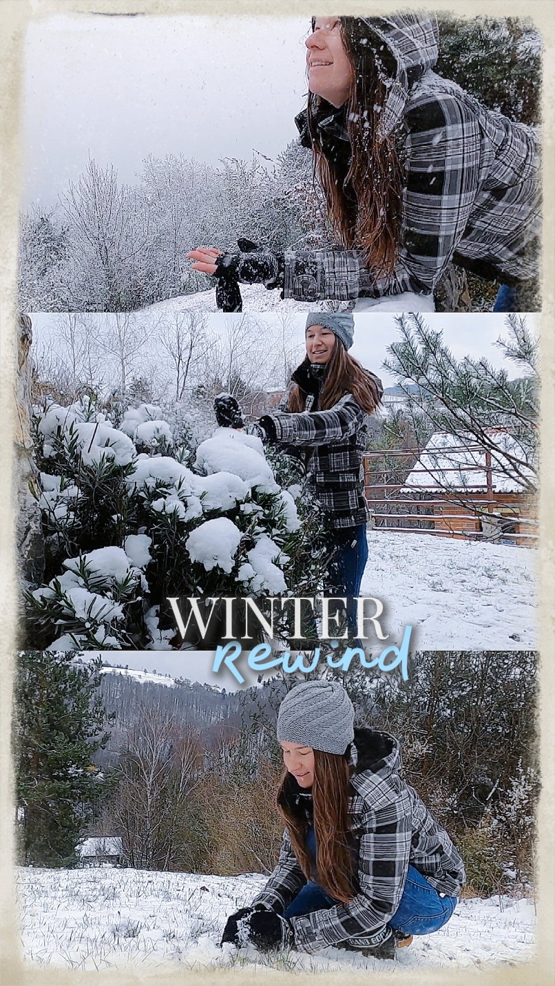winter rewind