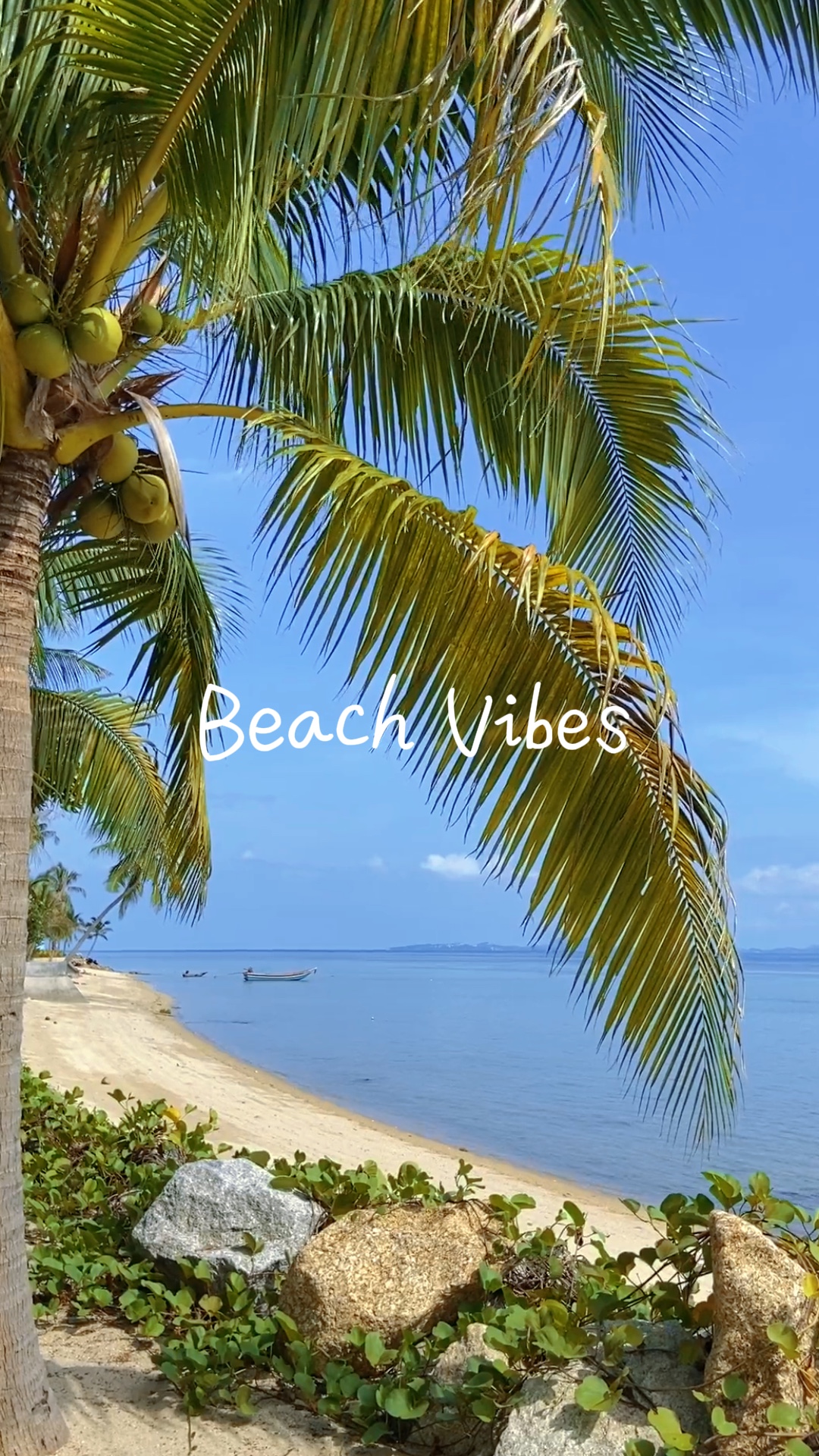 Beach Vibes