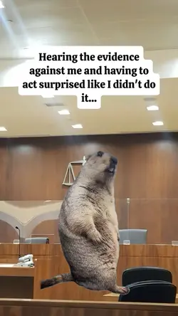 hearing the evidence