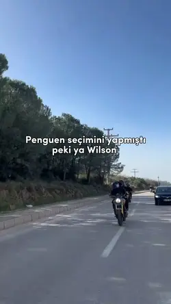 wilsonn