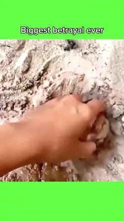 tiktok viral