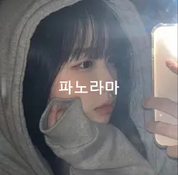 파노라마