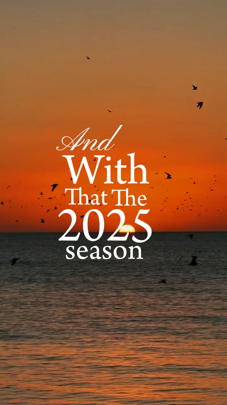 2025 시즌