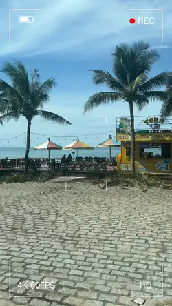 Mùa hè tuyệt vời