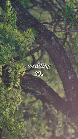 wedding 30s