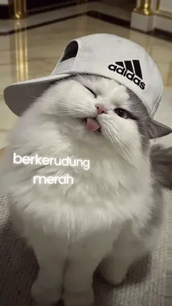 gadis brkrudng merah