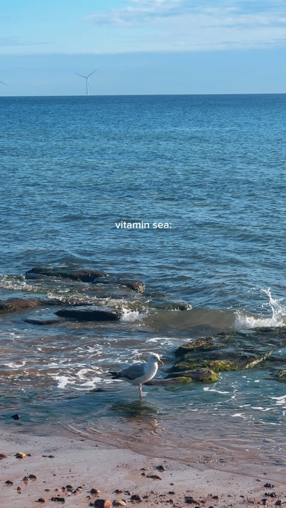 Summer vitamin sea
