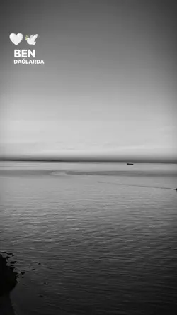 Ahmet Kaya / şablon 