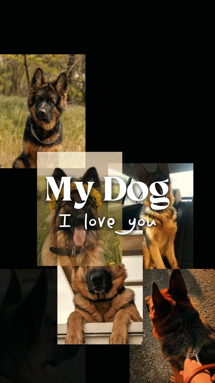 Meine Hundevorlagen 