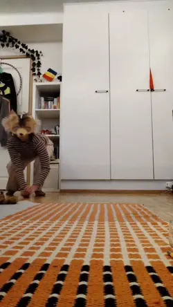 Dancing coyote