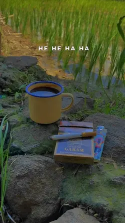 Memandangmu