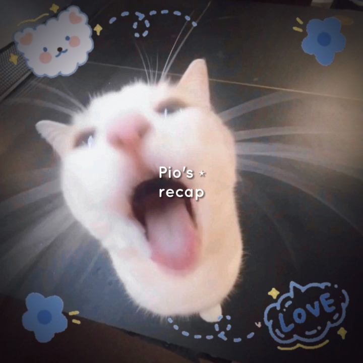 고양이 요약