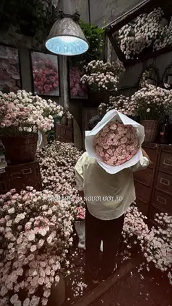 Lần này anh buông