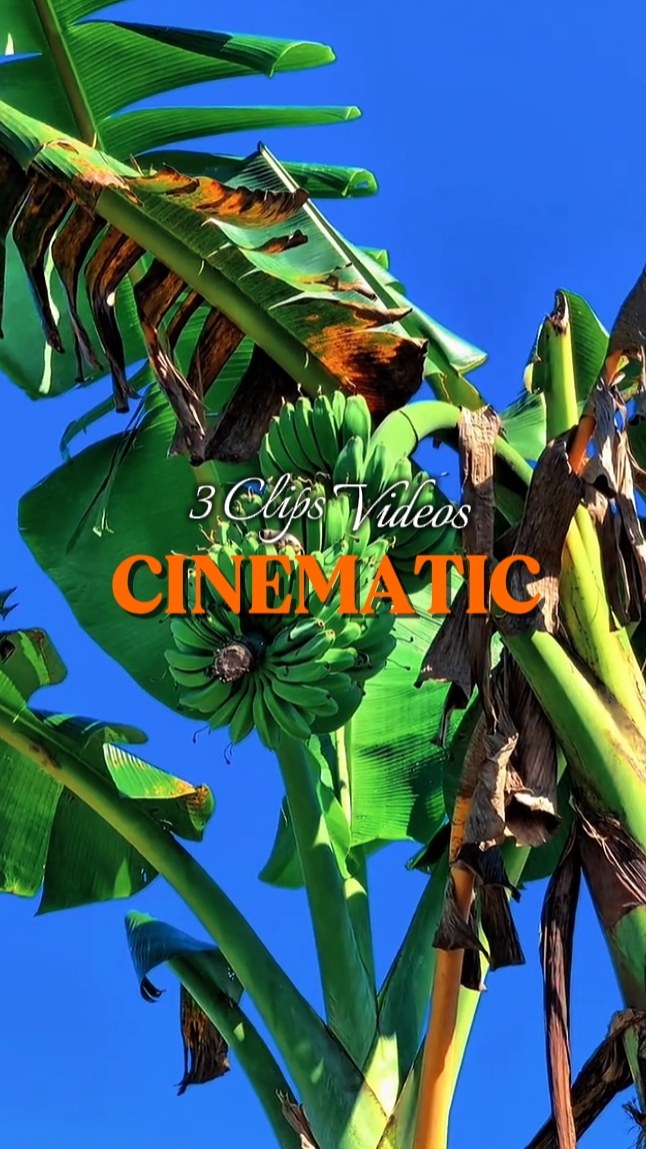 4 Clips cinematic
