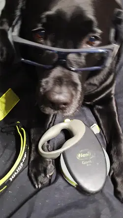 théorème de thalès